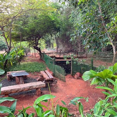 Bougan Villa Auroville Kültér fotó