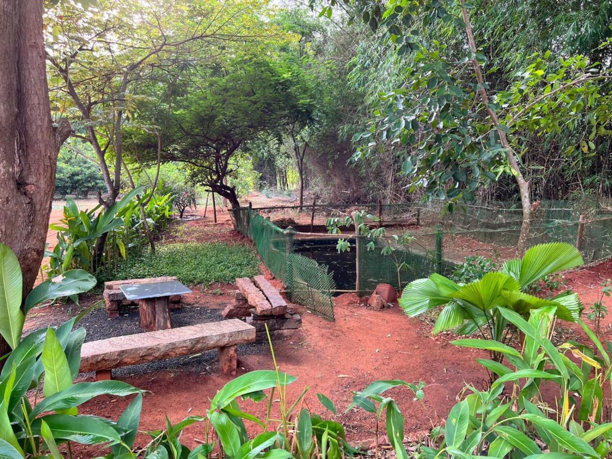 Bougan Villa Auroville Kültér fotó